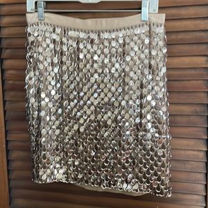 Just in time for those Holiday parties!! “mirrored” teardrop mini skirt